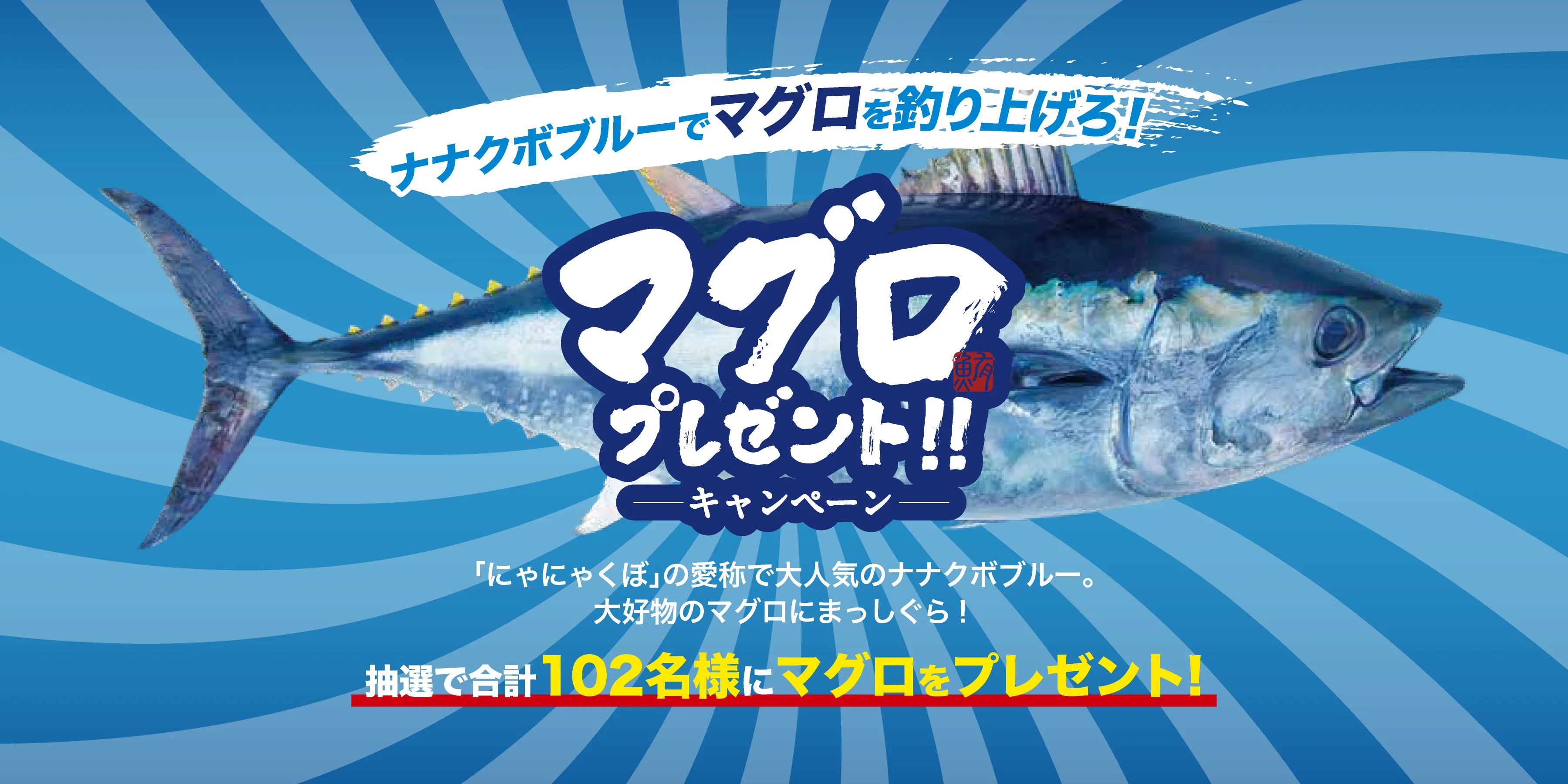 マグロキャンペーンメイン