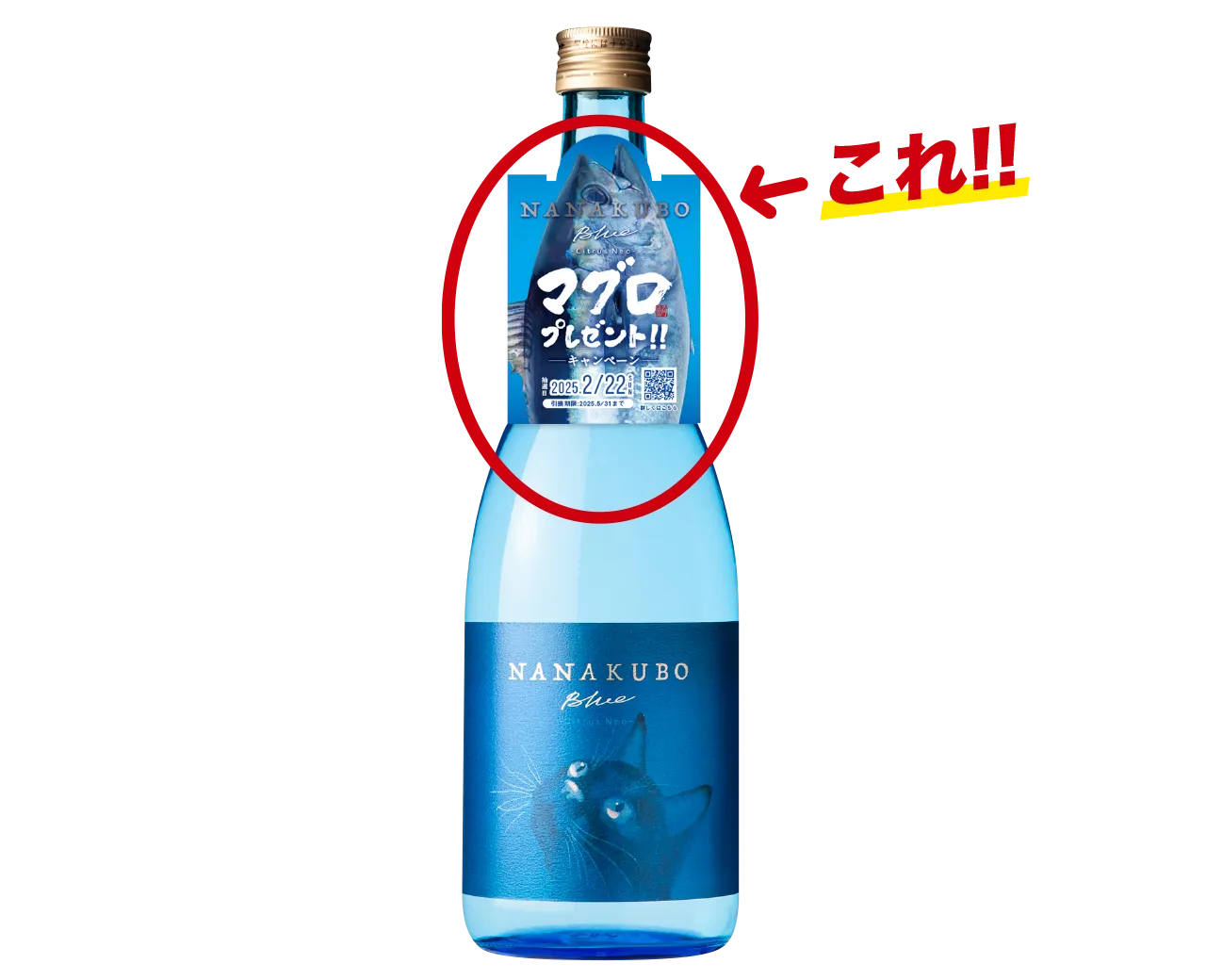 NANAKUBO Blueボトル