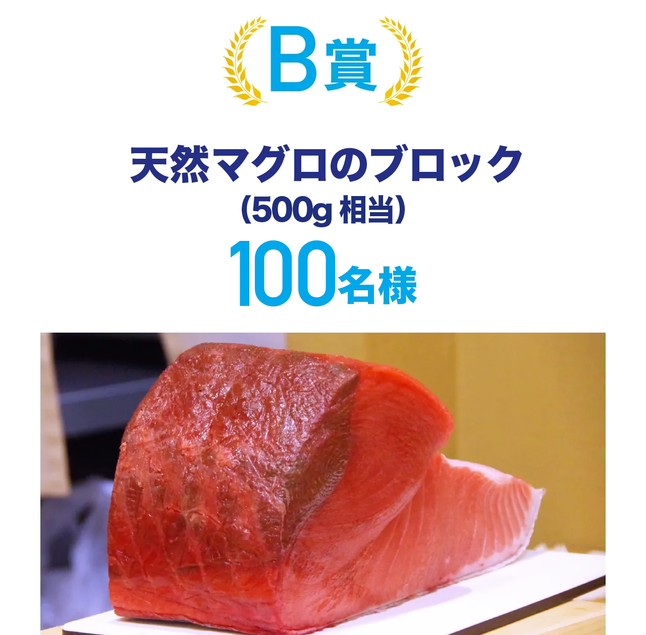 B賞天然マグロブロック
