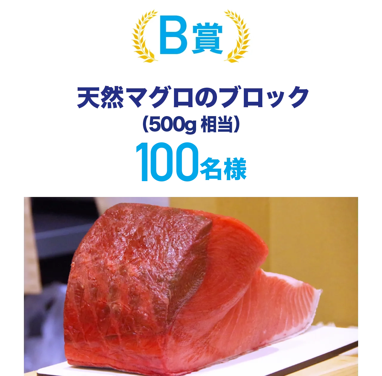 B賞天然マグロブロック